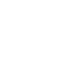 Fybr