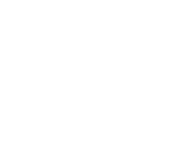 GE