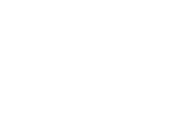 Symbotic